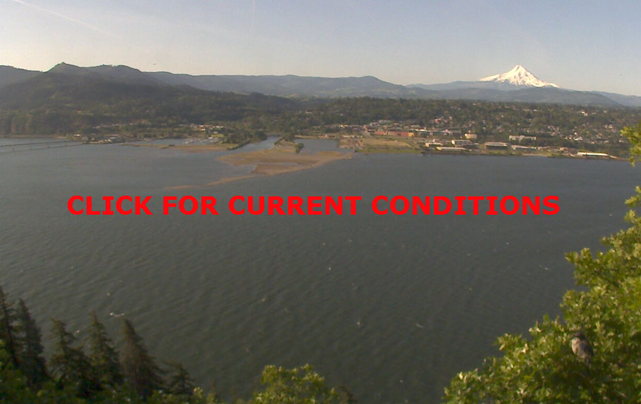 WS Bluff